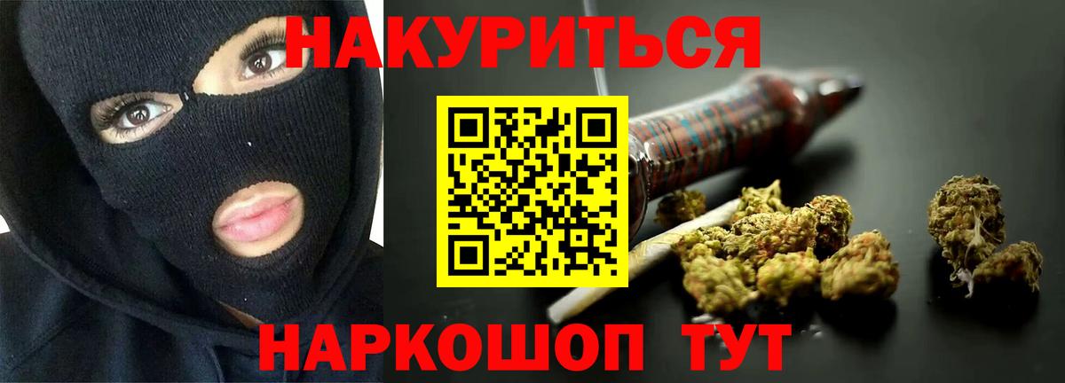 МАРИХУАНА сатива Бор